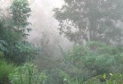 Murchison VIClandscaping-irrigation-4.jpg; ?>